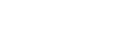 2010